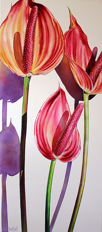 Anthuriums by Pat Hall | Lethbridge Gallery